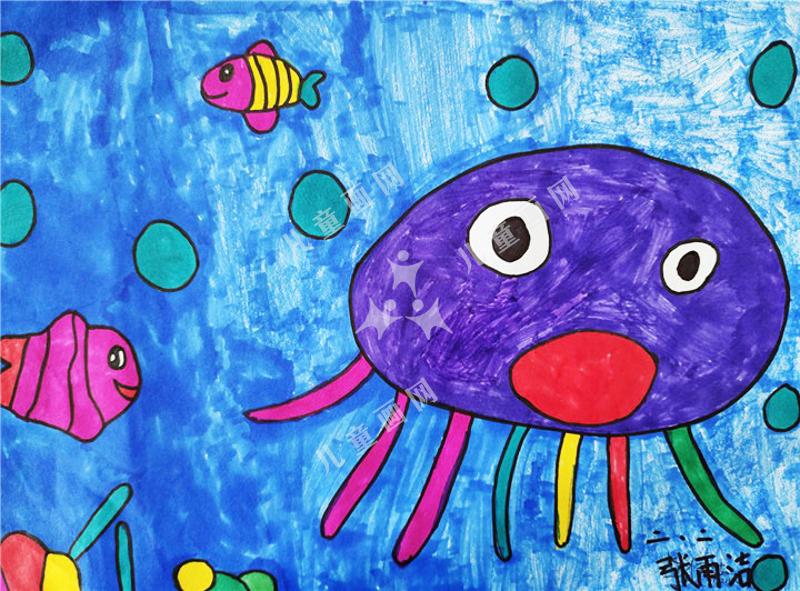 小丑鱼的新朋友