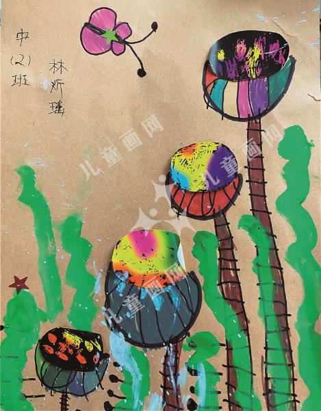 莲蓬