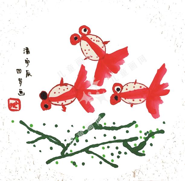 我家的小金鱼