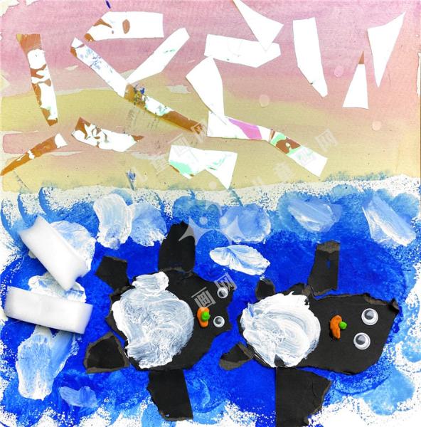 畅游南极