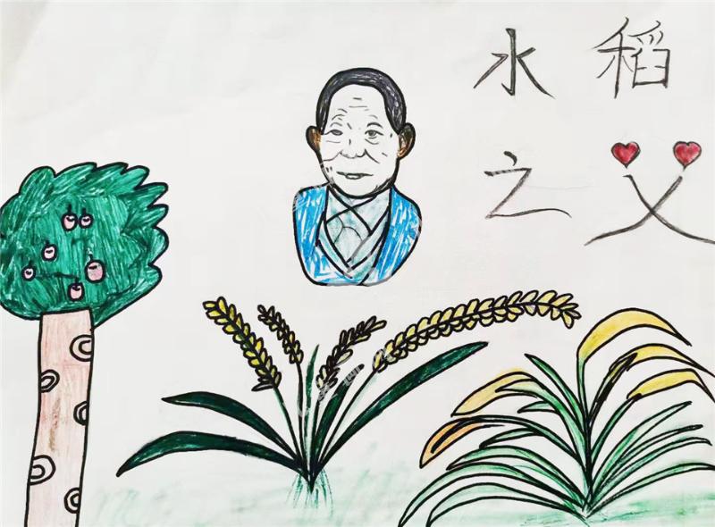 水稻之父